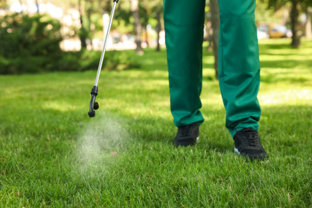 Best Best Pest Control Near Me  in Lusby, MD