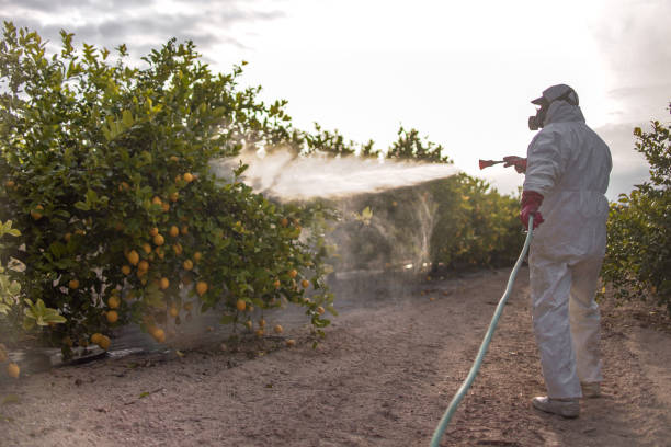 Pest Control Cost in Lusby, MD