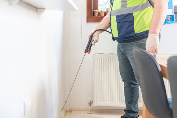 Trusted Lusby, MD Pest Control Experts