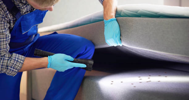 Best Exterminator Services  in Lusby, MD