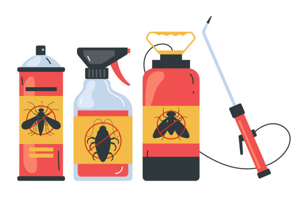 Best Local Pest Control Services  in Lusby, MD