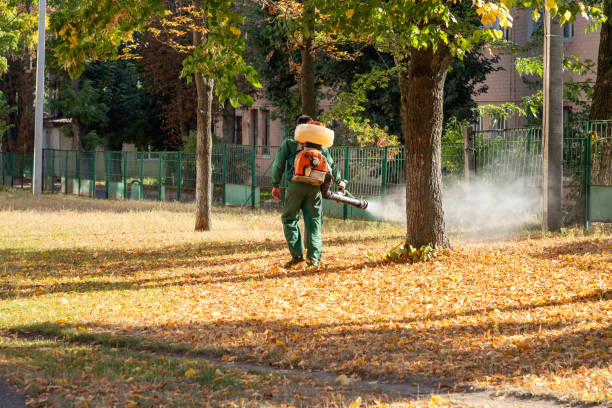 Best Emergency Pest Control  in Lusby, MD