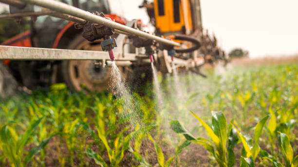 Best Ant Control Services  in Lusby, MD