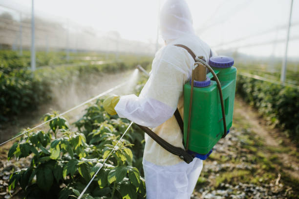 Best Bed Bug Extermination  in Lusby, MD